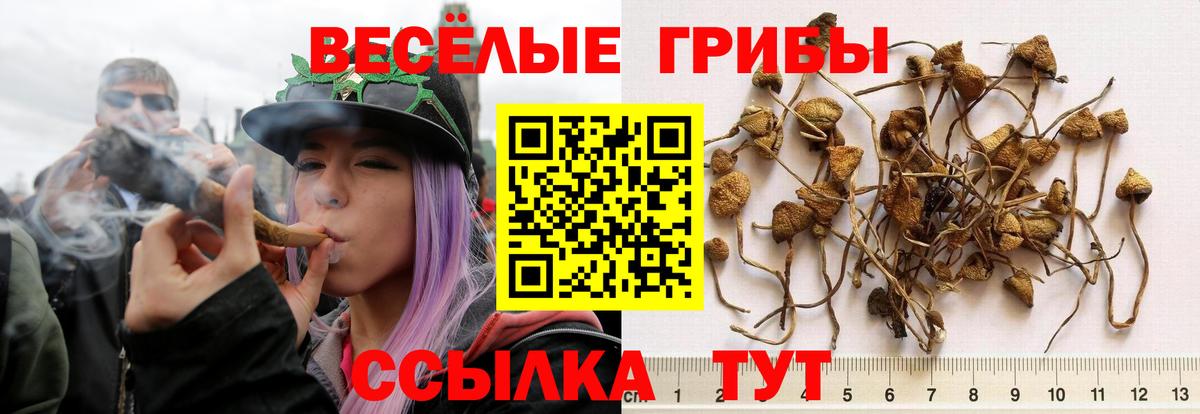 Галлюциногенные грибы Magic Shrooms Светлоград