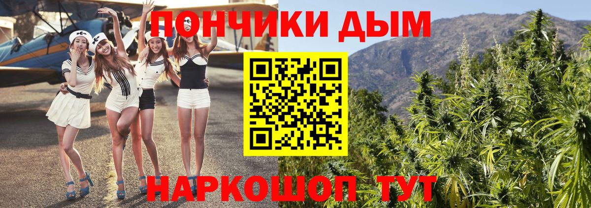 Бошки марихуана SATIVA & INDICA Светлоград
